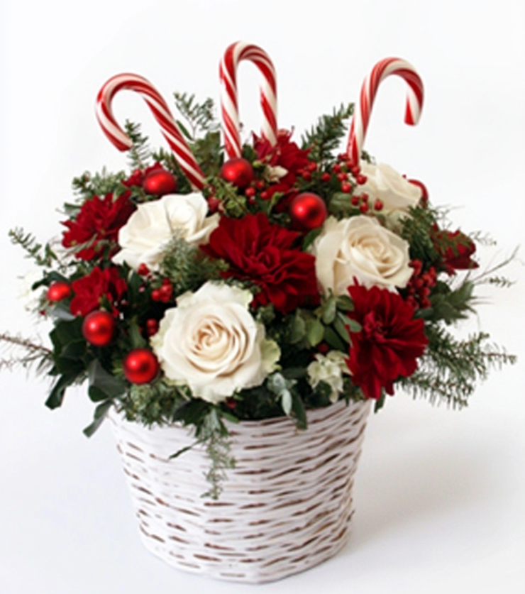 Red and White Basket