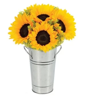 Sunflower Celebration