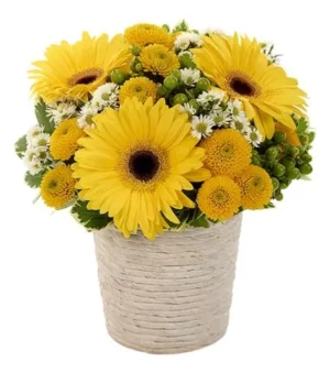 Sunny Day Dream Bouquet