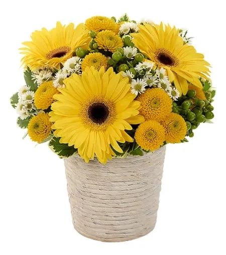 Sunny Day Dream Bouquet