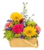 Sunshine in a Basket