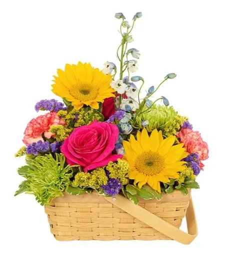 Sunshine in a Basket