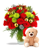 Noel & Teddy Bear Bundle