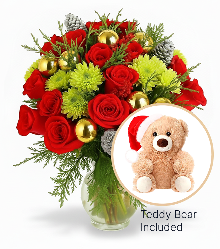 Noel & Teddy Bear Bundle