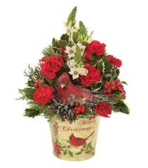 Cardinal Holiday Celebration
