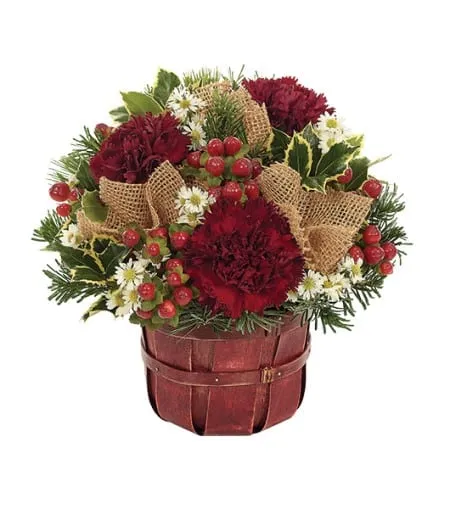 Christmas Country Celebration