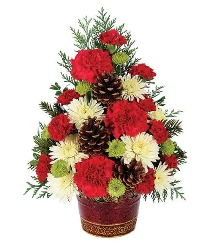 Christmas Tree Celebration