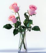 Elegant Pink Roses