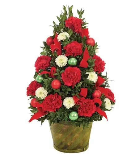 Forest Christmas Tree Celebration