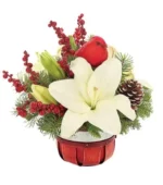 Holiday Cardinal Garden Surprise