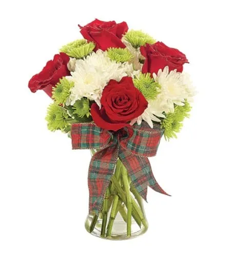 Holiday Plaid Celebration