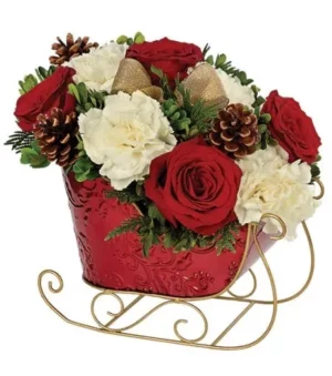 Holiday Sleigh Surprise - Keepsake