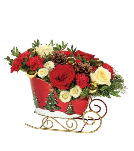 Holiday Sleighride Celebration