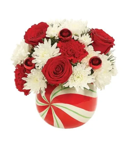 Holiday Swirl Celebration