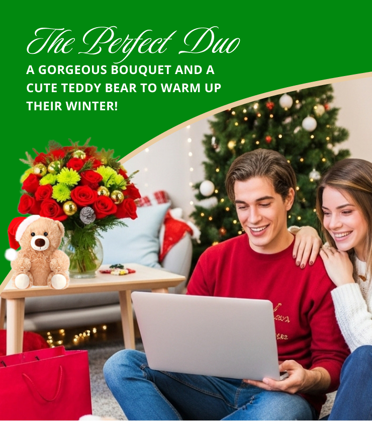 Noel & Teddy Bear Bundle