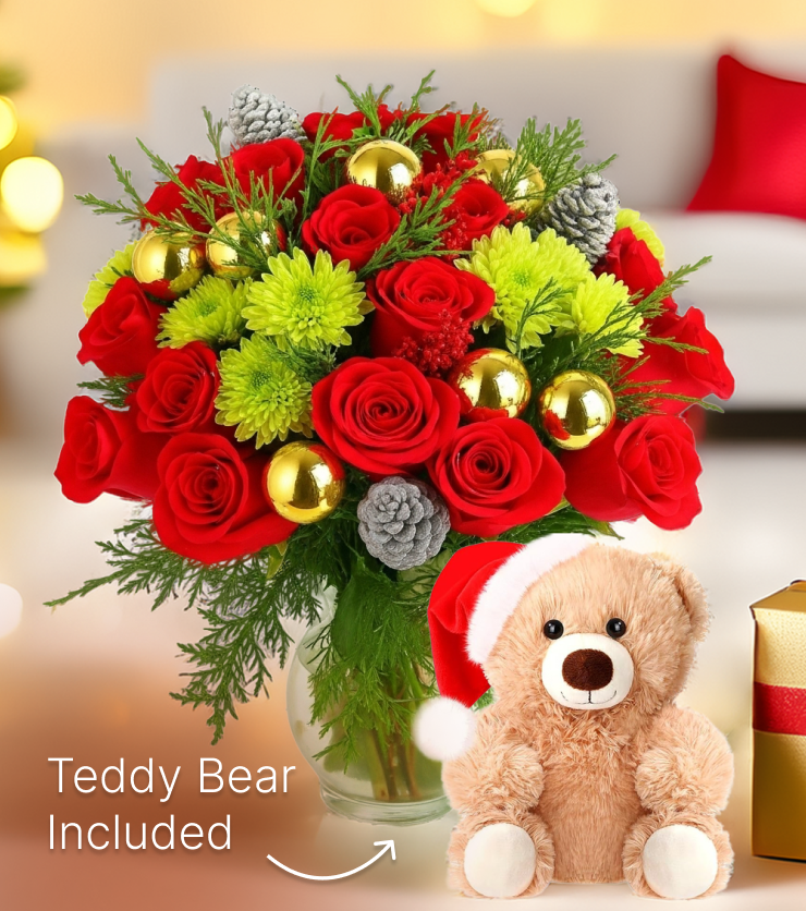 Noel & Teddy Bear Bundle