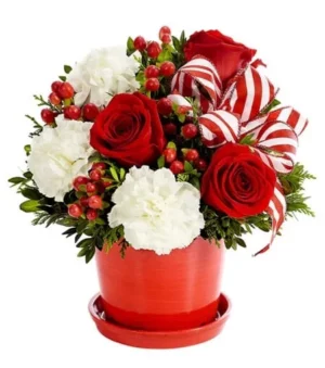 Peppermint Holiday Surprise