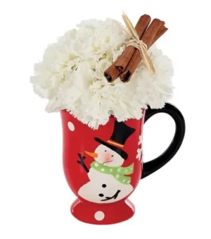 Snowman Holiday Surprise