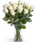 One Dozen White Roses