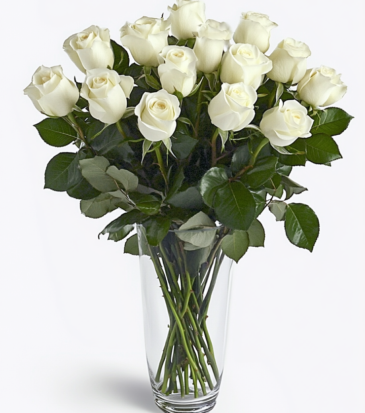 One Dozen White Roses