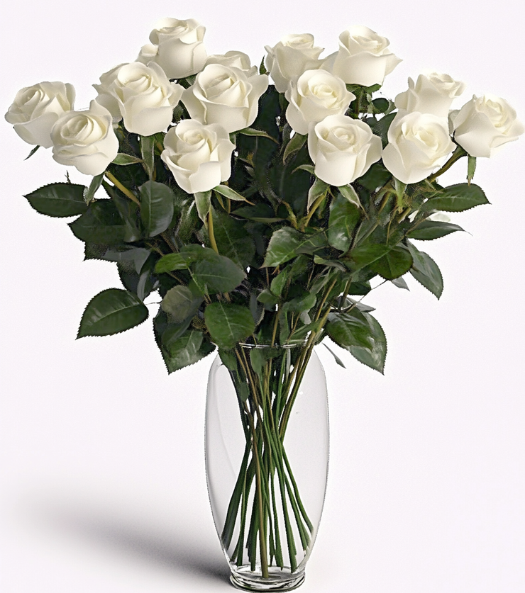 One Dozen White Roses