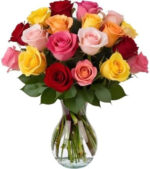 18 rainbow roses