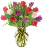 Spring Tulips