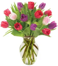 Spring Tulips