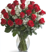 2 Dozen Velvety Roses