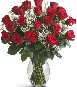 2 Dozen Velvety Roses