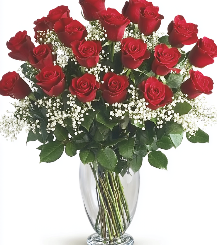 2 Dozen Velvety Roses