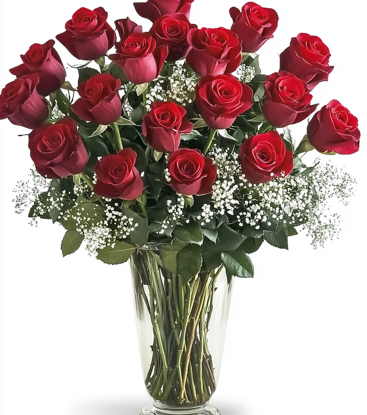 2 Dozen Velvety Roses