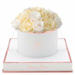 Ivory and Creme Long Lasting Preserved Roses | Glam Fleur
