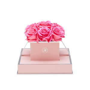 Pretty in Pink Roses That Last a Year - Glam Fleur®