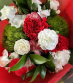 Holiday Cheer Carnations