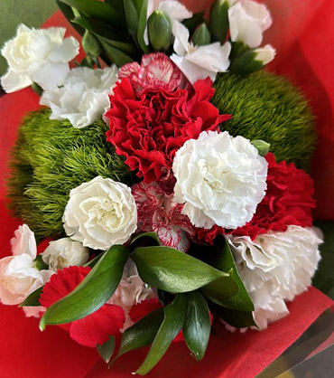 Holiday Cheer Carnations