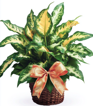 Beautiful Basket