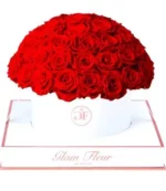 Blanche Grande Round Light Red