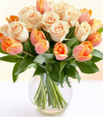 Bright and Velvety Blooms