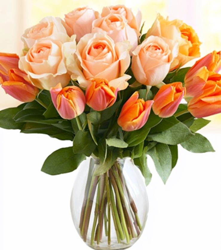 Bright and Velvety Blooms