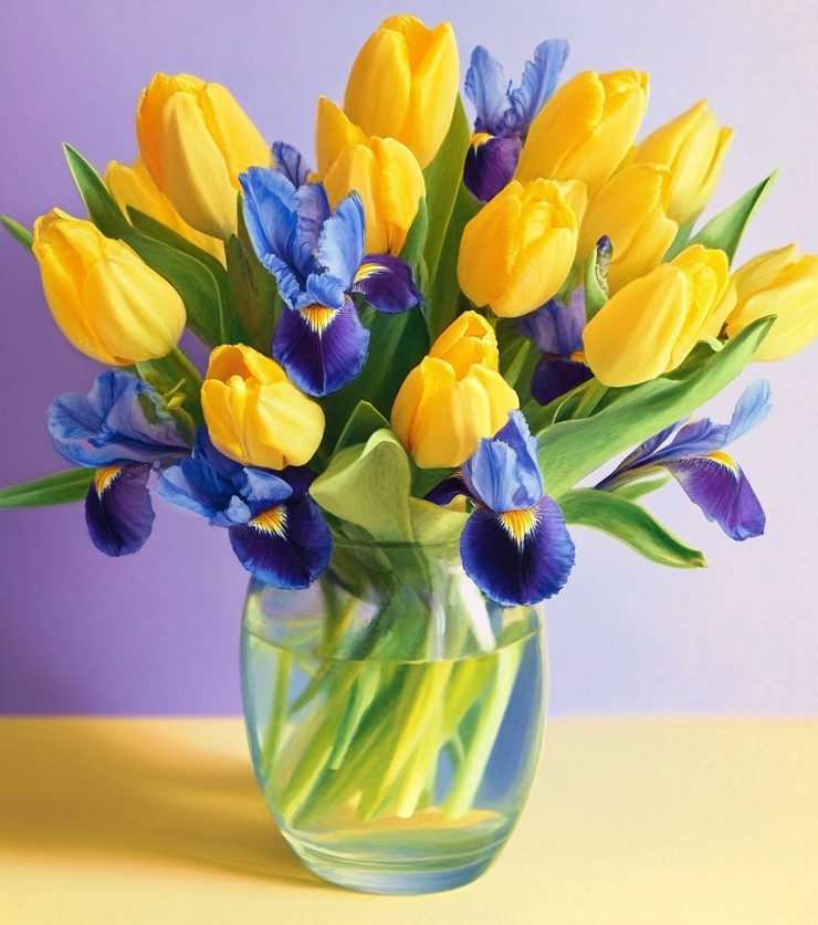 Bright Blooms