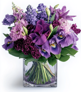 Colorful Flowers