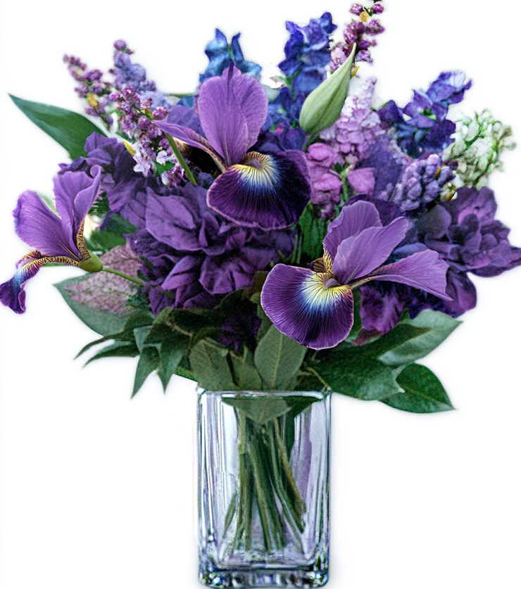 Colorful Flowers