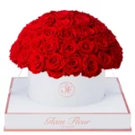 Light Red Preserved Roses That Last a Year
