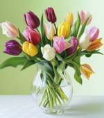 Love Tulips