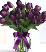 Passion of Tulips