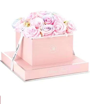Rose Square Candy Rainbow And Baby Pink