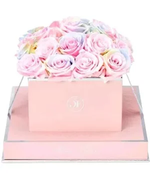 Rose Square Candy Rainbow And Baby Pink