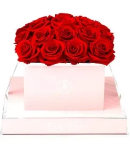 Rose Square Red