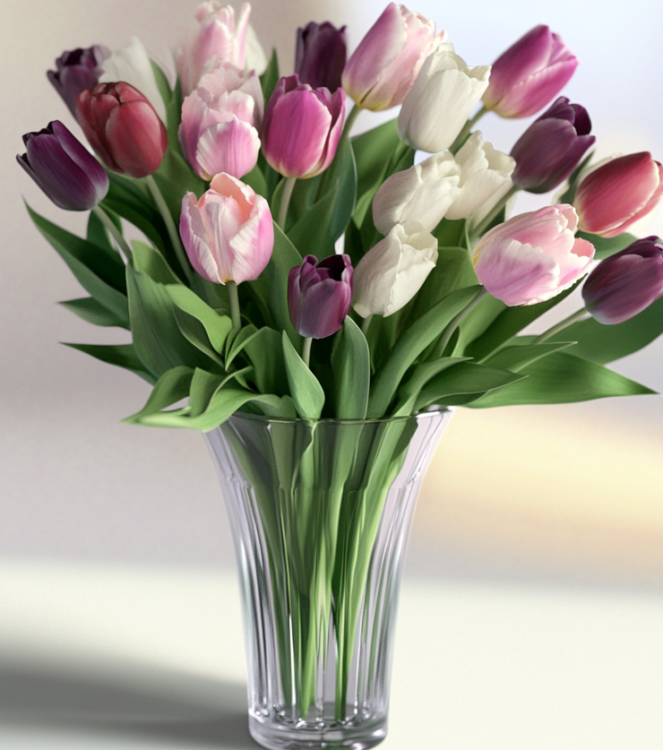 Royal Tulips